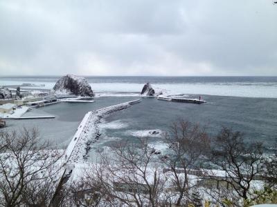 ウトロに近づく流氷