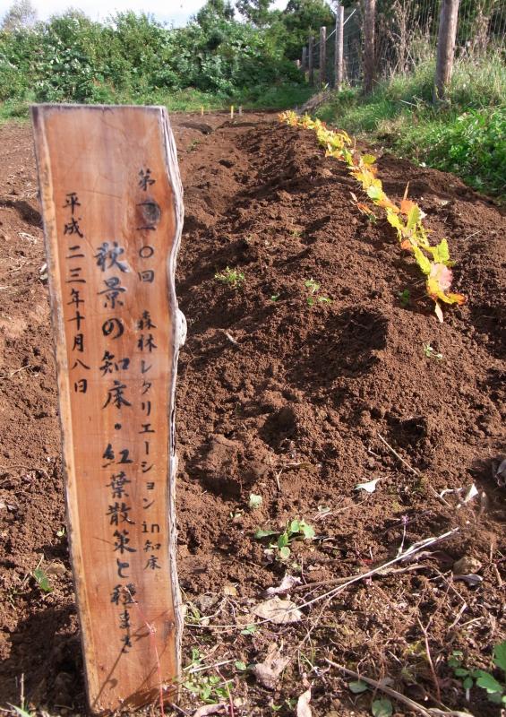 床替え終了