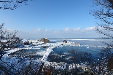 1月26日夕陽台