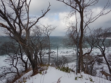 1月20日沖合の流氷