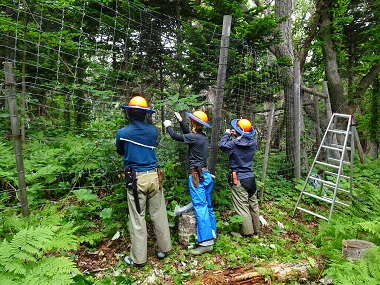 知床森林生態系保全センターブログ(2022年7月)：北海道森林管理局