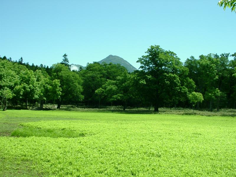 ポンホロ沼（夏）