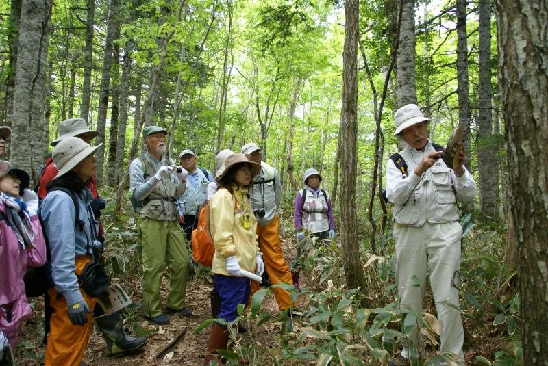 樹木の組織の説明