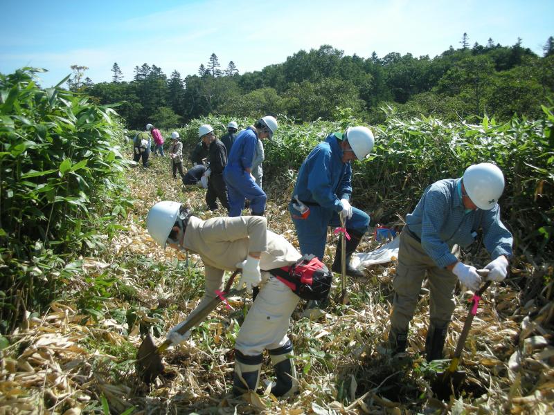 植樹作業