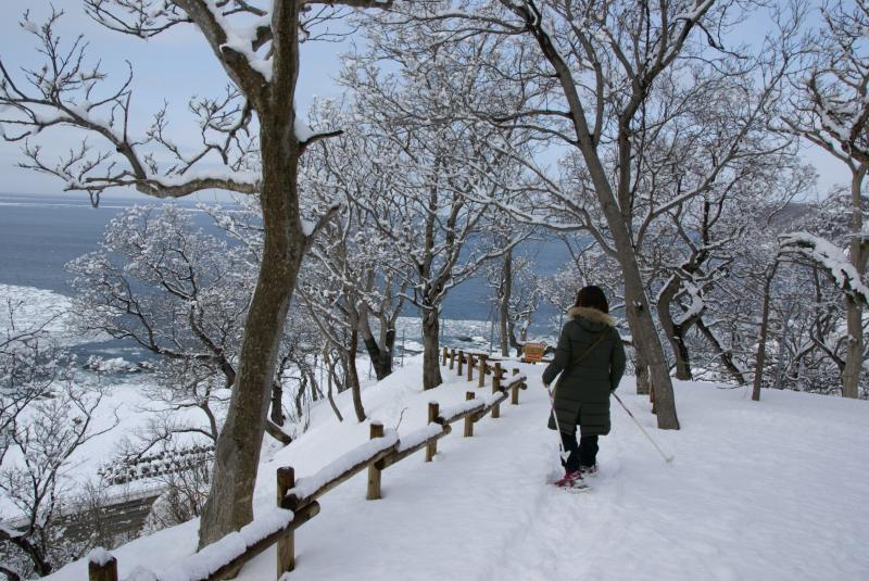 海岸沿いの遊歩道