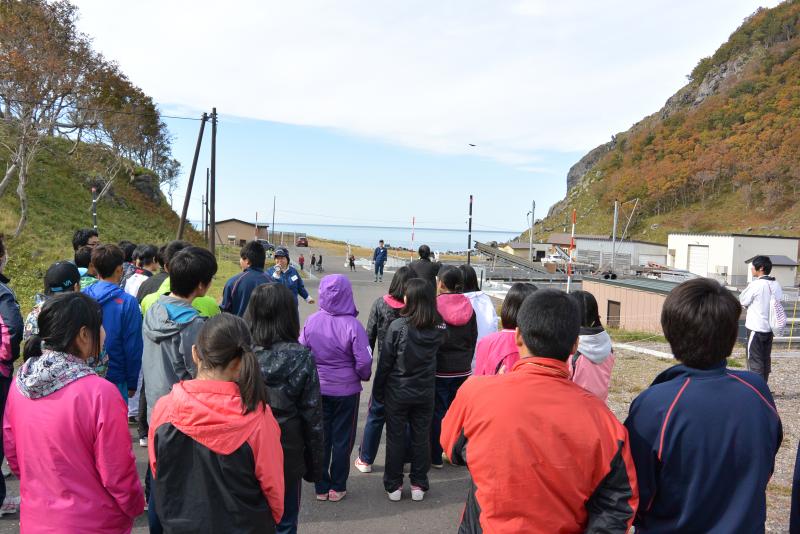 7日岩尾別サケマス遡上