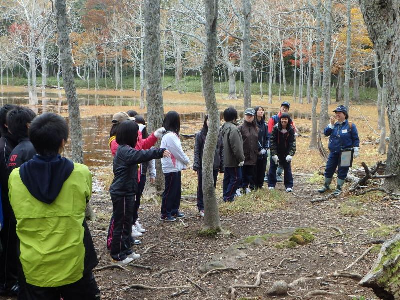 14日ミズナラ3
