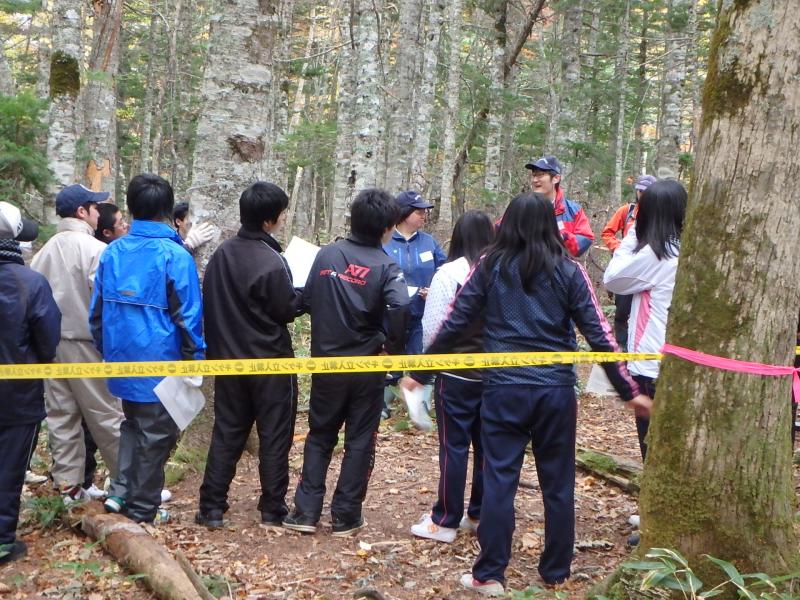 14日職業体験