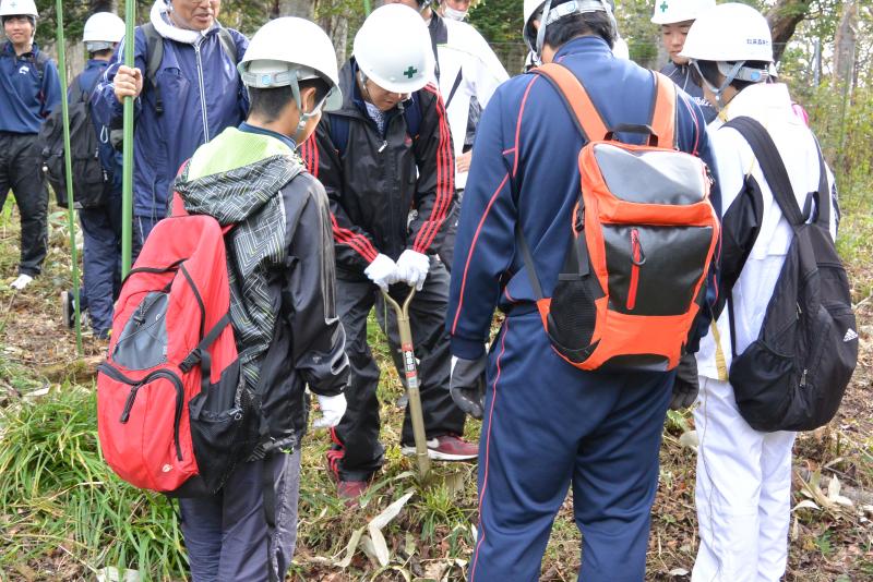 7日植樹体験1