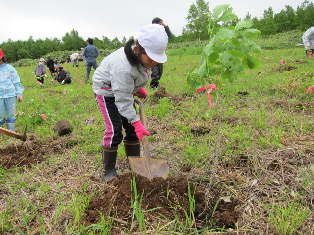 島牧村植樹会