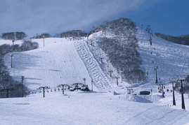 ニセコ山系のスキー場（倶知安）