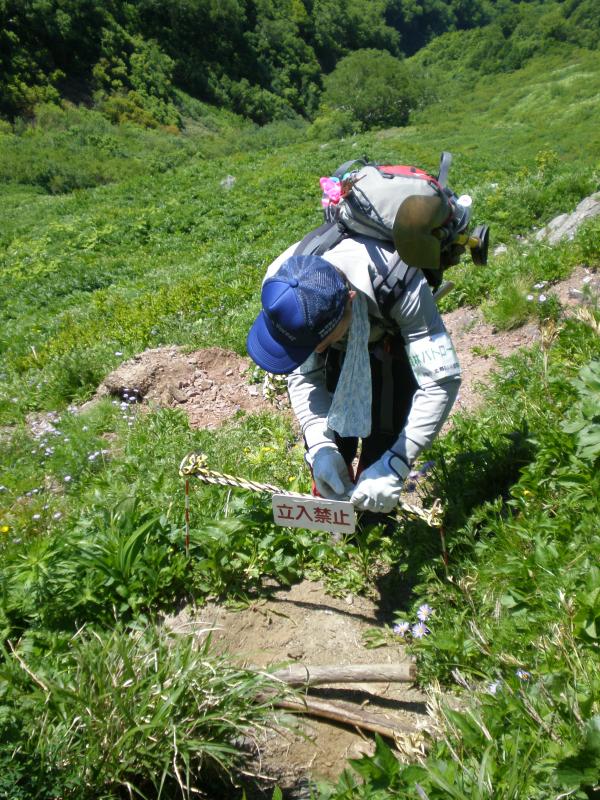 登山道整備