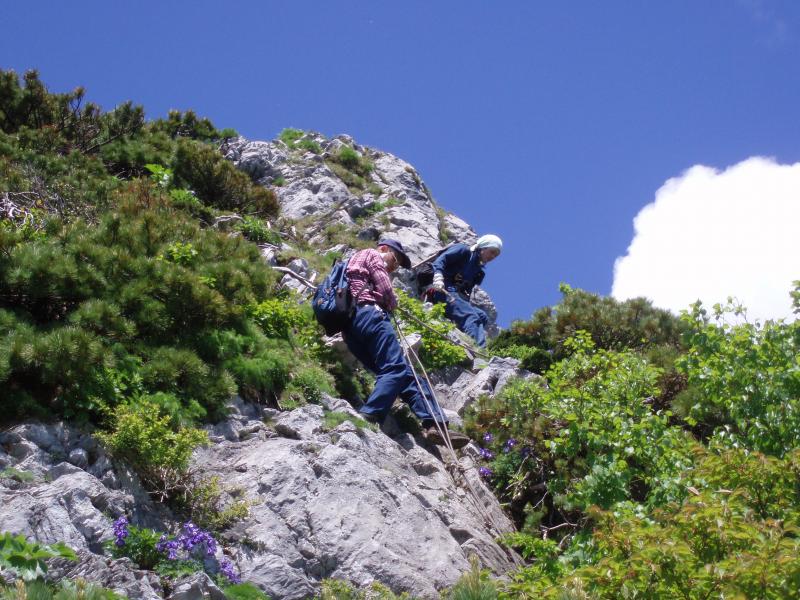 登山道整備1