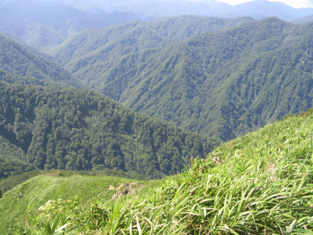 大平山から狩場方面を望む（島牧村）