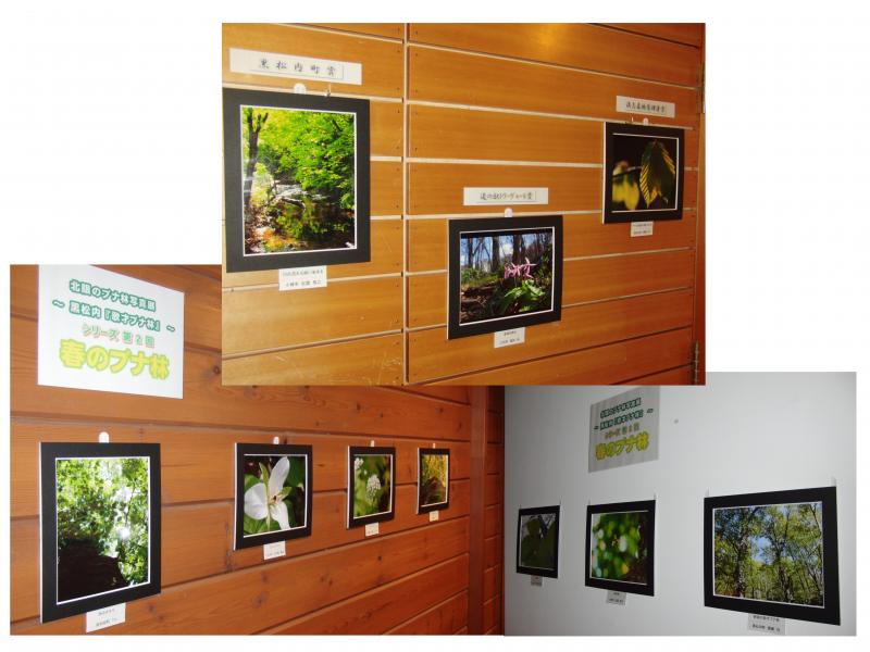 春の写真展開催