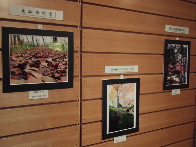 展示作品
