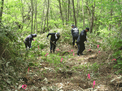 いぶり噴火湾漁協による植樹祭（伊達市）