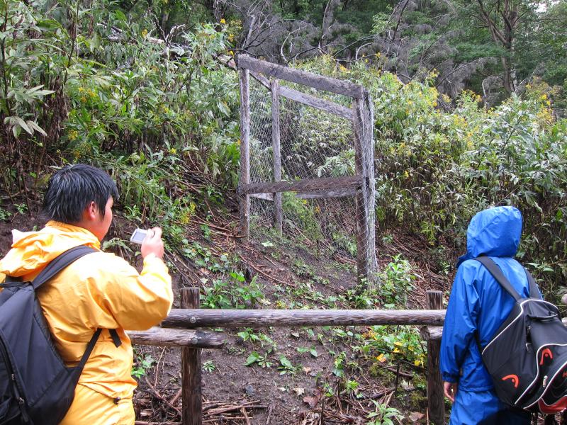 洞爺湖中島エゾシカ対策