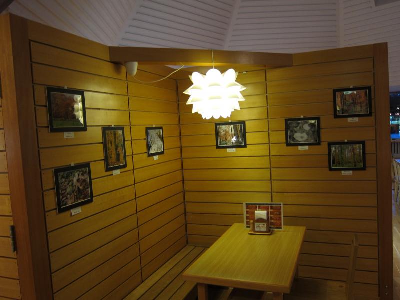 展示作品