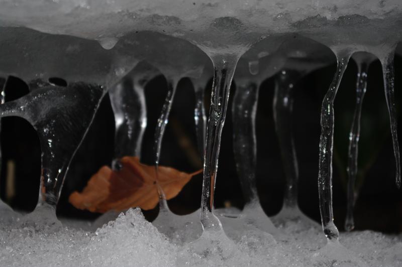 氷の世界
