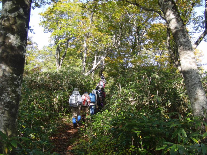 一路山頂へ