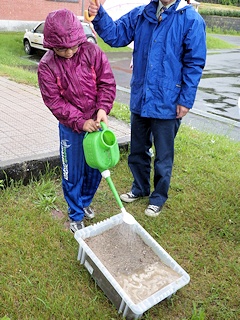 荒れ地に雨が降ると