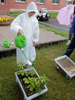 森に雨が降ると