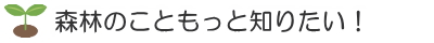 森林のこともっと知りたい
