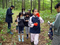 草笛に挑戦