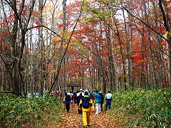 もみじ平に到着