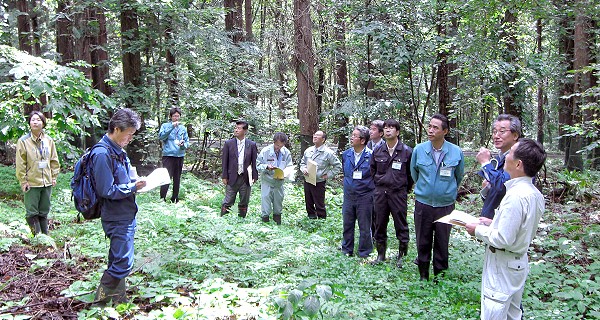 月形スギ保護林に入っての現地検討会も行いました