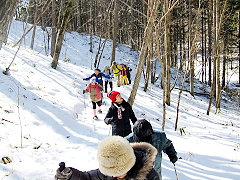 遊歩道をカンジキ歩行