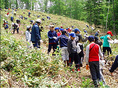 毎年参加している植樹祭