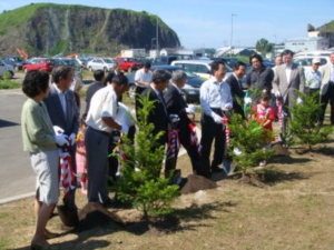 イチイの記念植樹