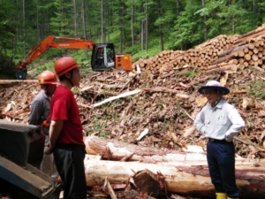 佐藤製材工場