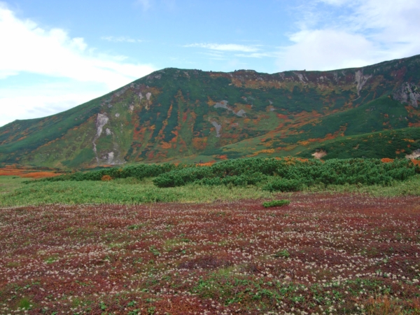 裾合平から見た当麻岳