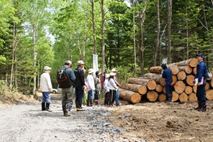 山元土場を見学