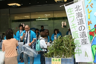 北海道森林管理局 地元下川商業高校の販売実習に協力 山菜 フキ 採取から販売までを体験