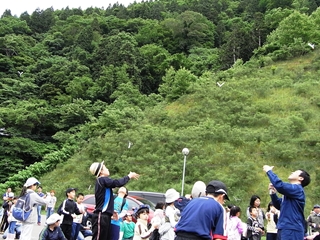 種の模型を飛ばしている様子