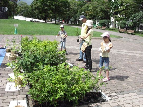 6種の苗木を計500個作成