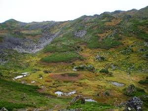 目の前にトムラウシ山頂を望みます