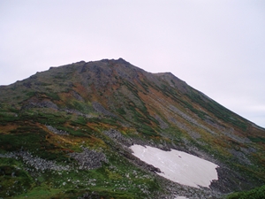 目の前にトムラウシ山頂を望みます