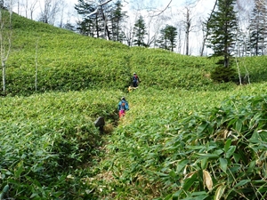 天望山頂上付近での作業