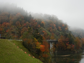 鮮やかな紅葉