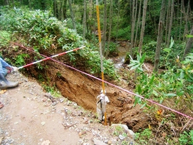 ボランティアの調査状況