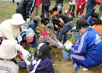 天塩町川口国有林で植樹活動