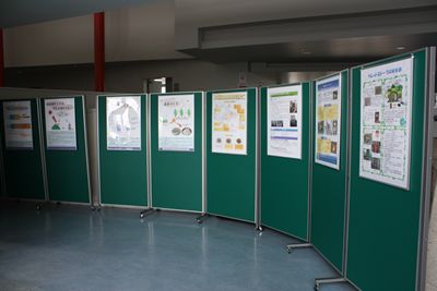 木質バイオマスに関するパネル展示