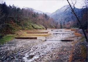 治山工事の例：ハイブリッドダム群平成１１年完成