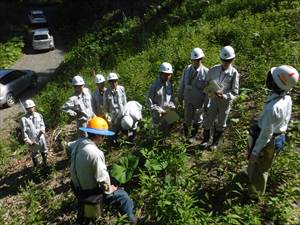 クリーンラーチ（グイマツ雑種F1）植栽箇所にて