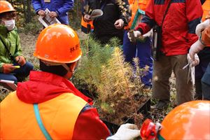 緩効性肥料の効果を確認する参加者